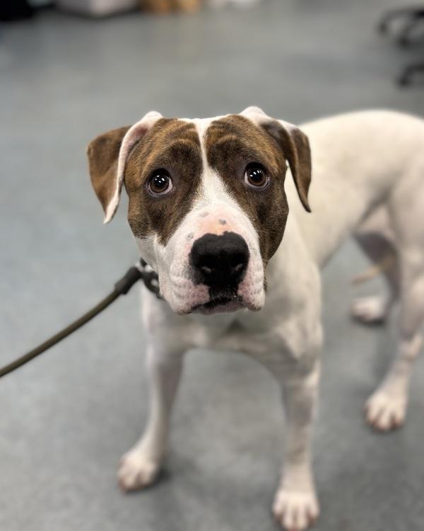 You Can Call Me photo 1