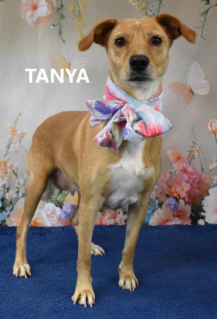 Tanya
