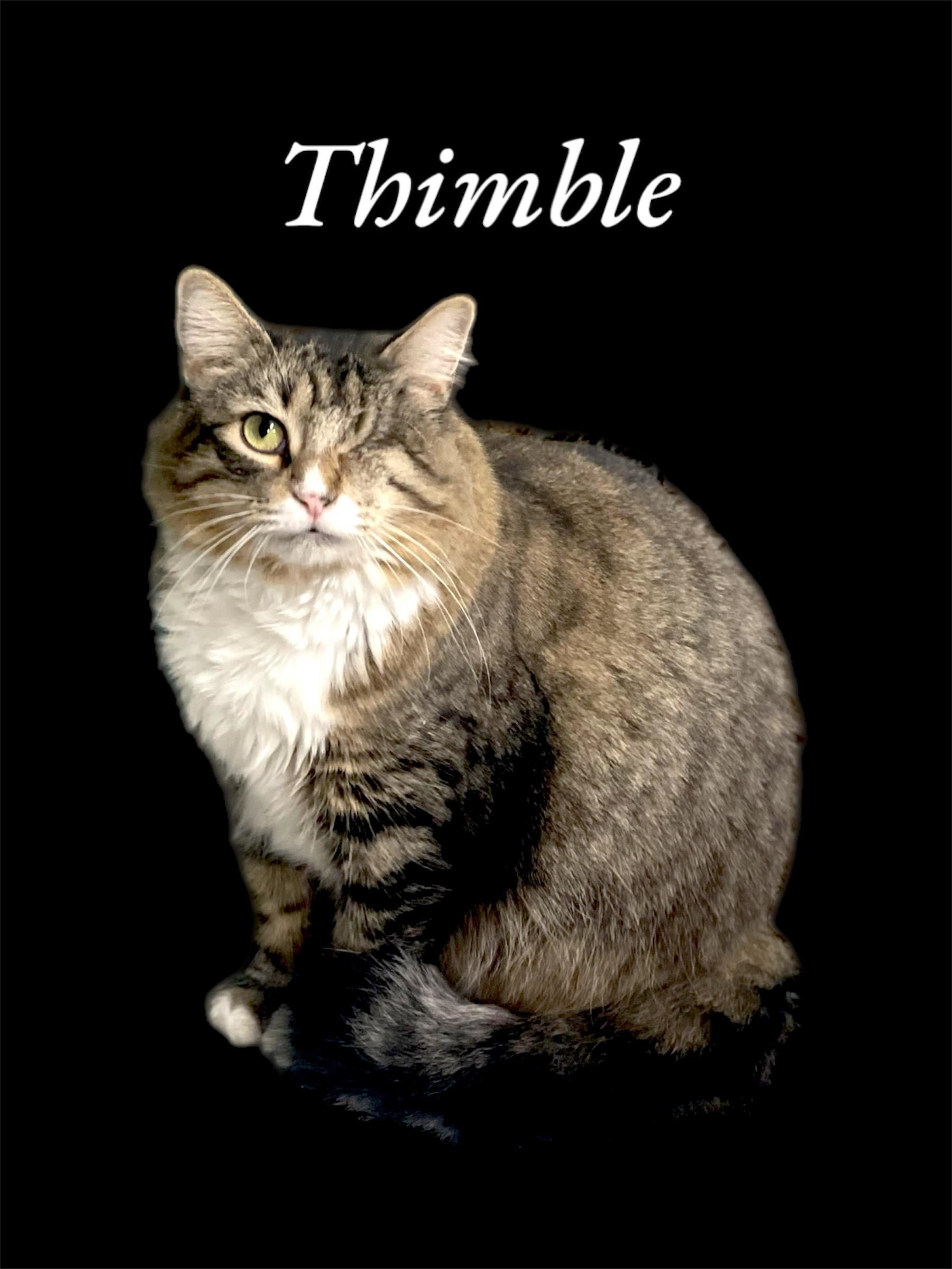 Thimble