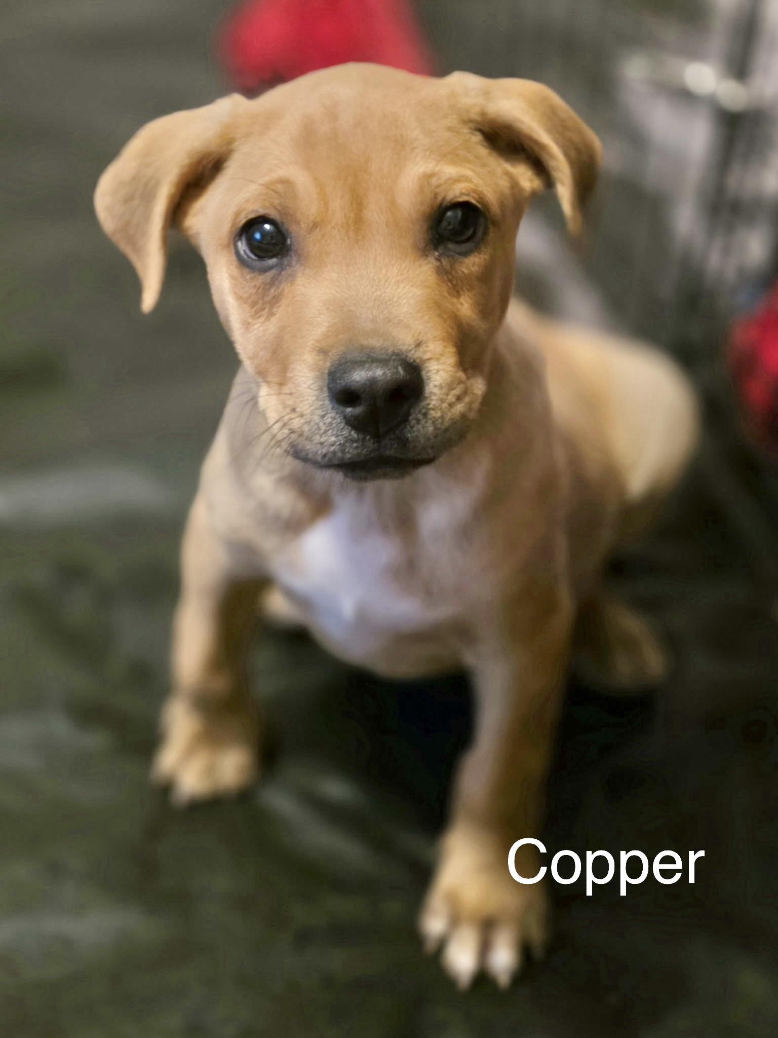 Copper