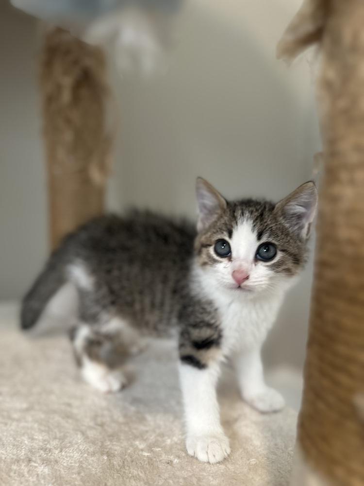 Henleycheck Out My Siblings