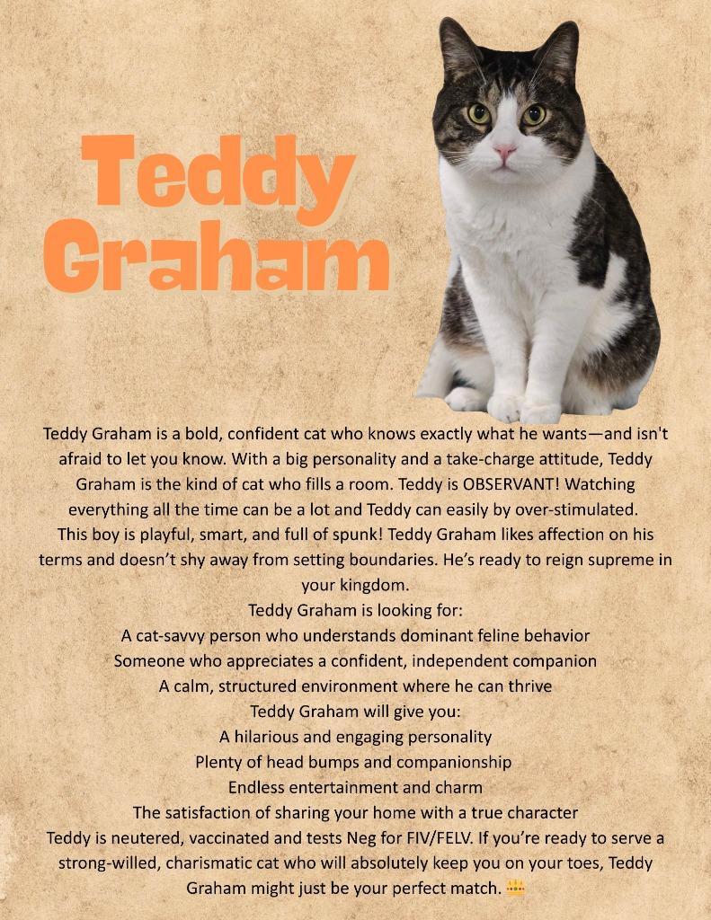 Teddy Graham
