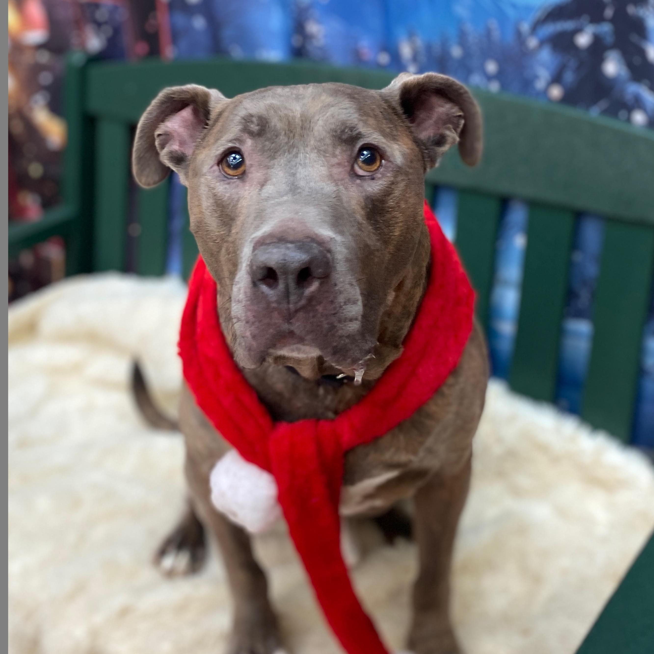 Malachi Gci Trained Graduate!!