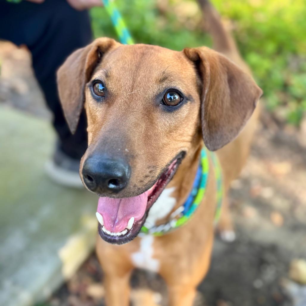 Rico City Of Industry