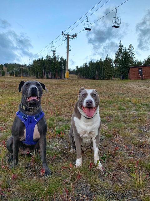 Saranac Aka "snacks"