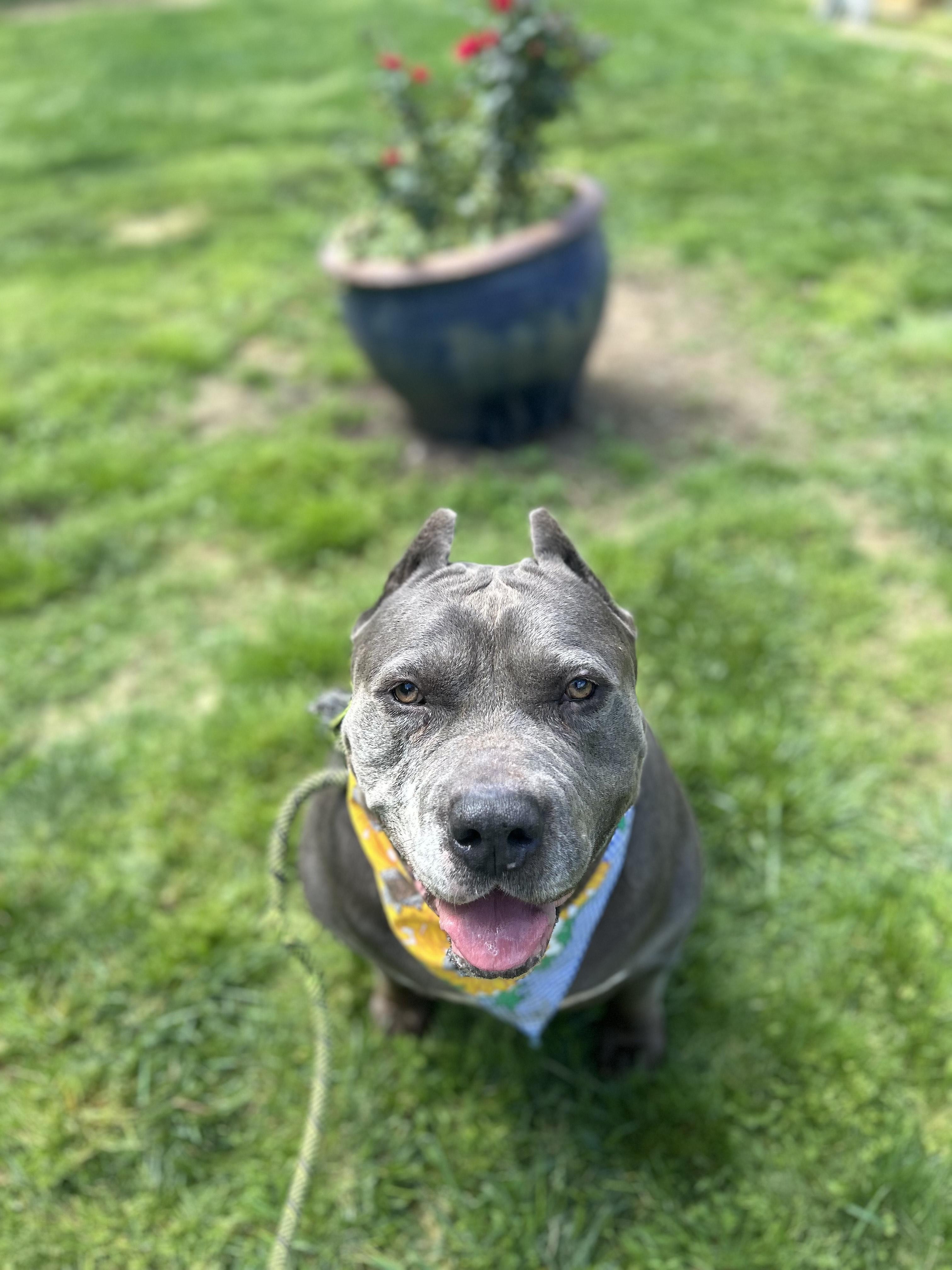 Zeus Aka Richard Aka