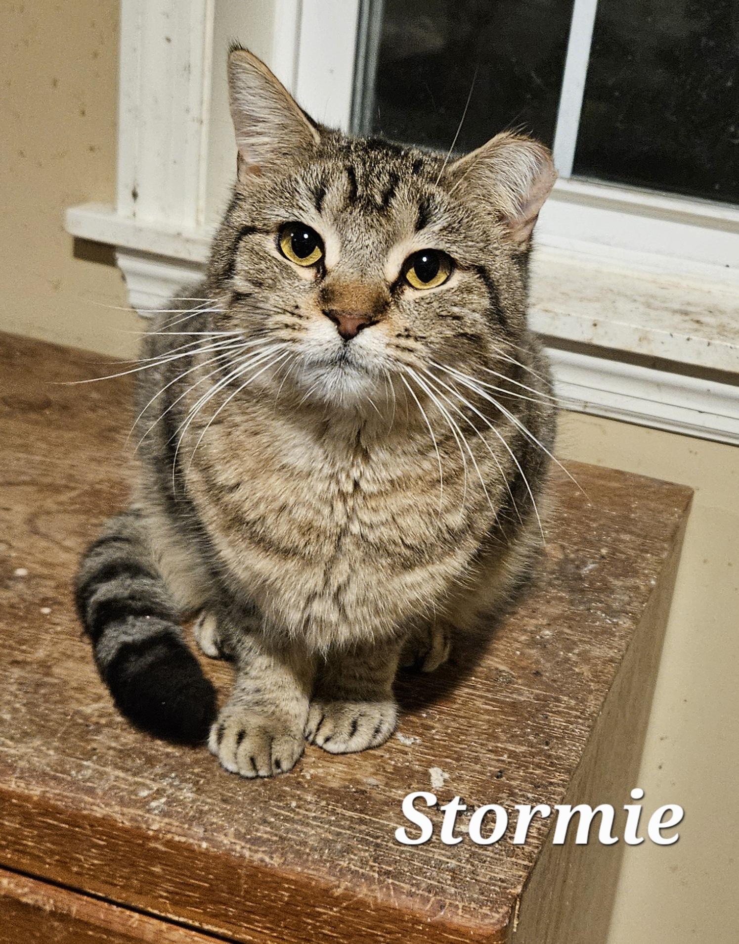 Stormie