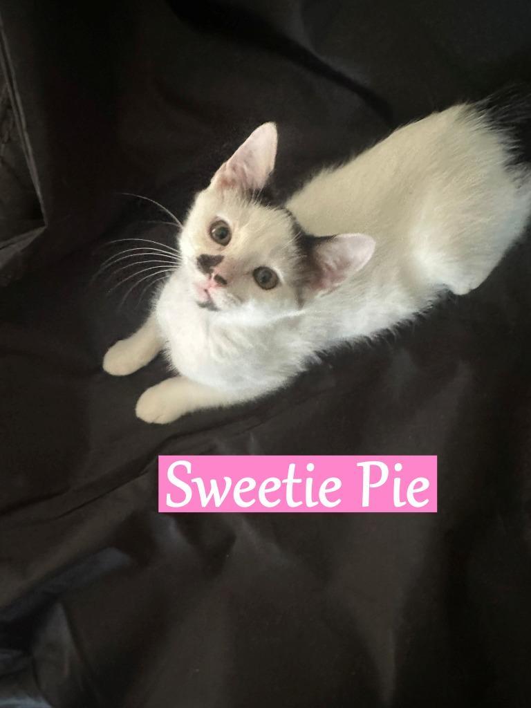Sweetie Pie