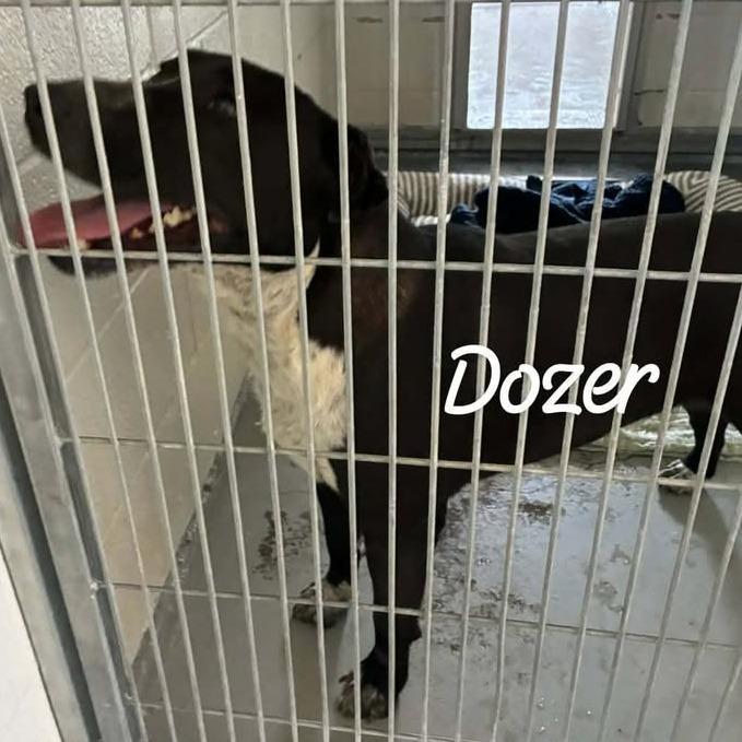 Dozer