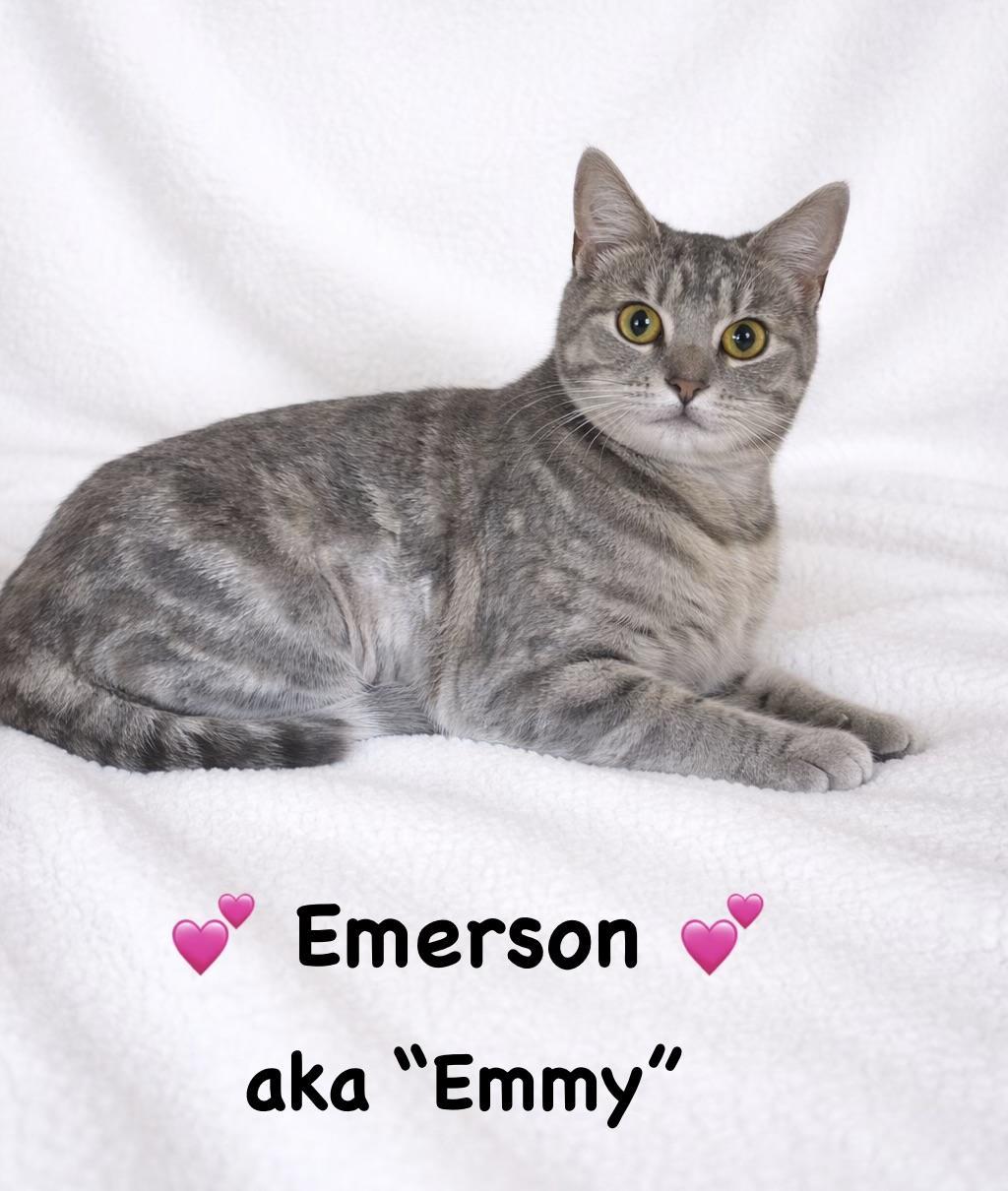 Emerson Aka "emmy"