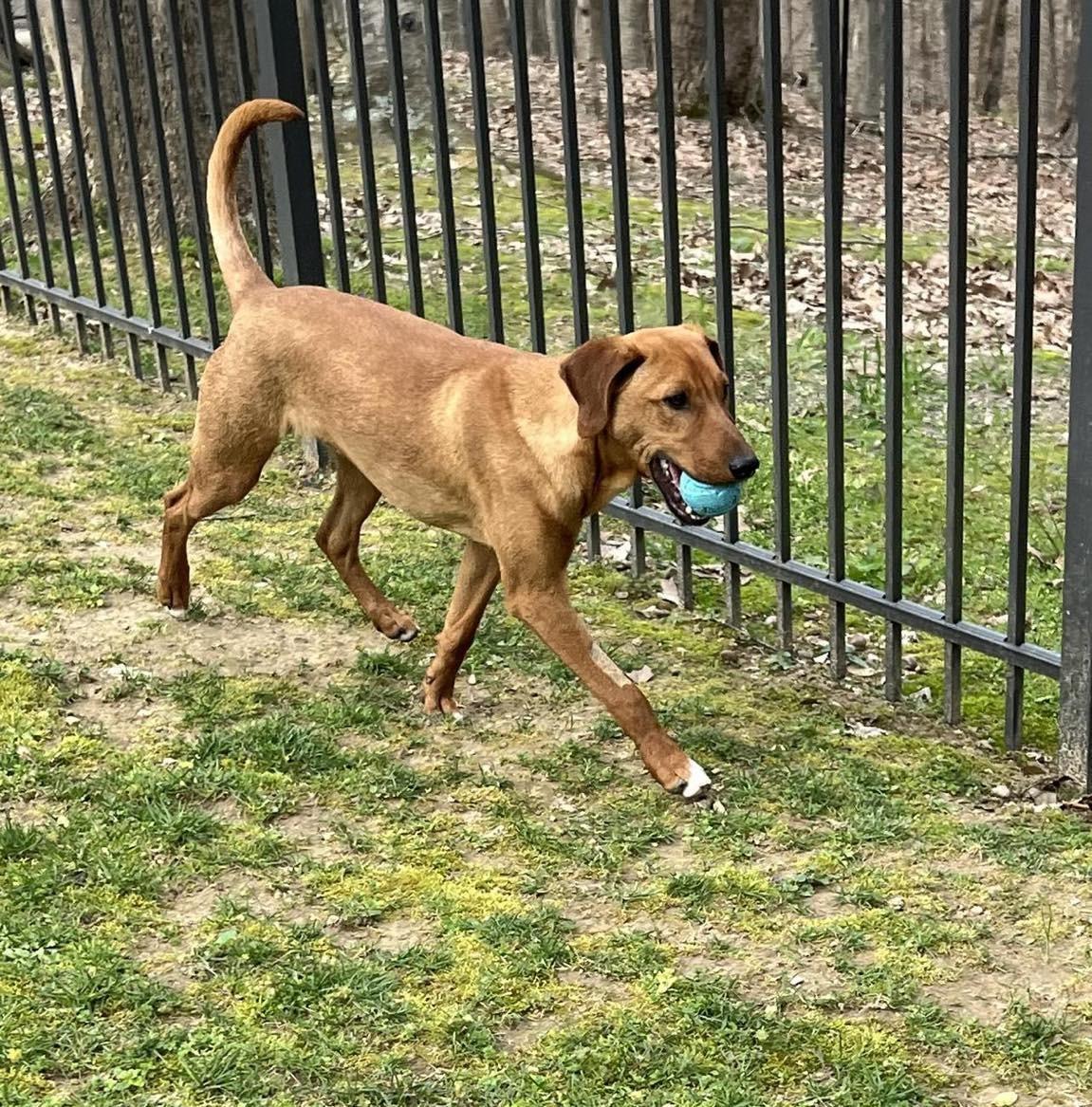 Danny.......fee Sponsorship