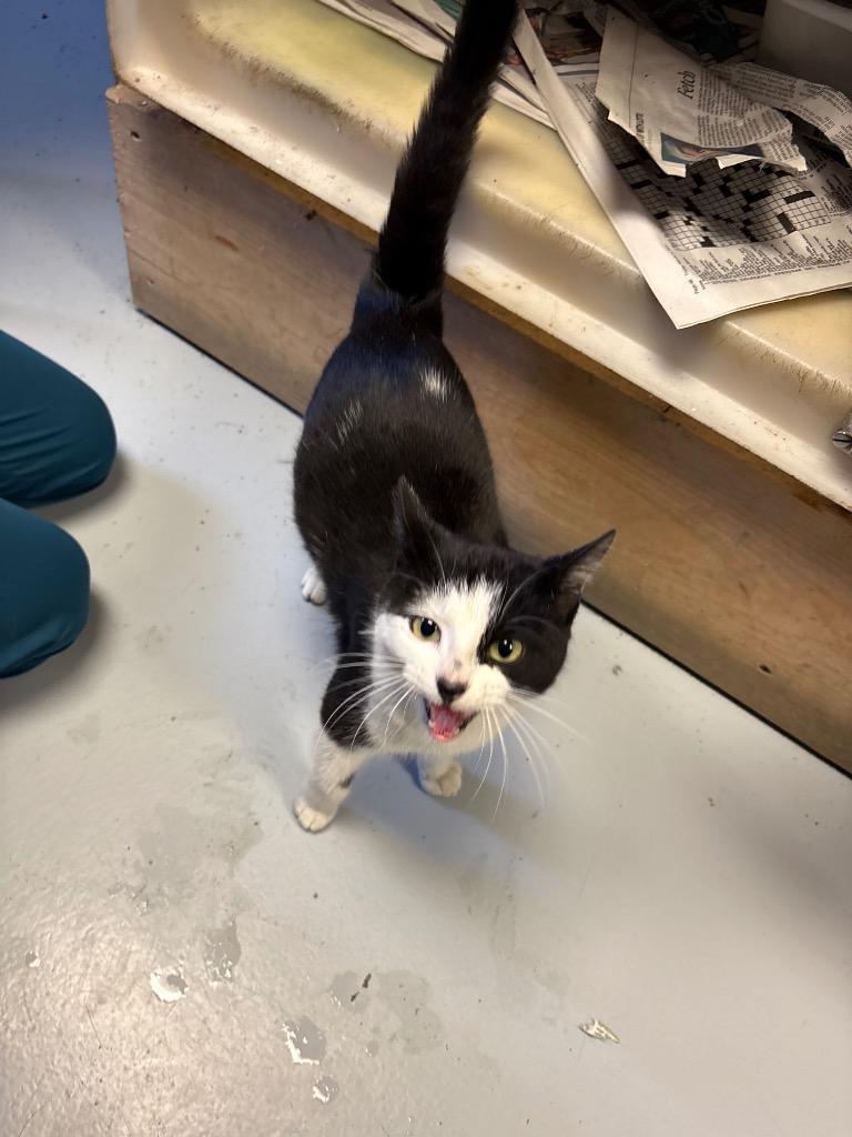 Minnie Mouse photo 1