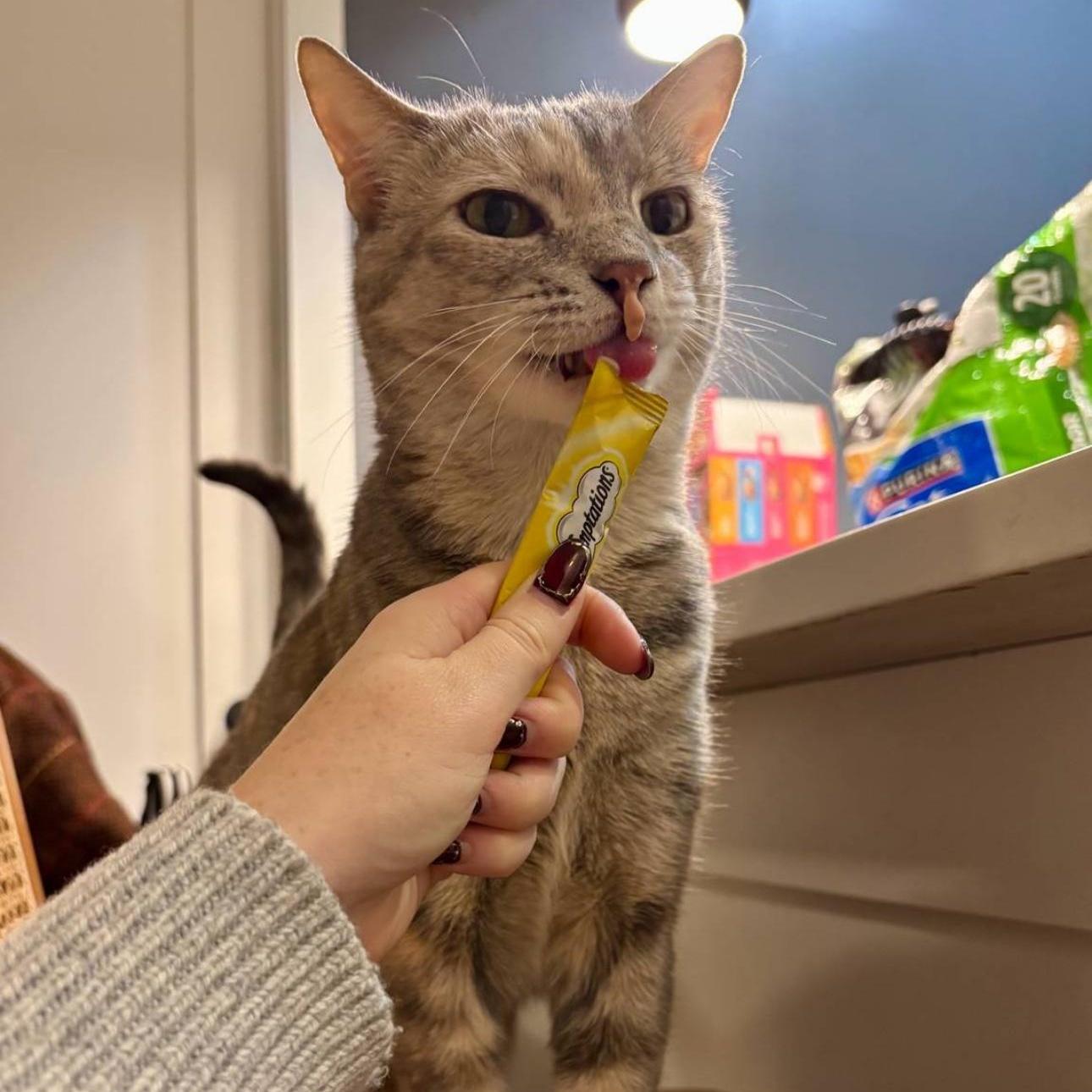 Solange The Sweetie!