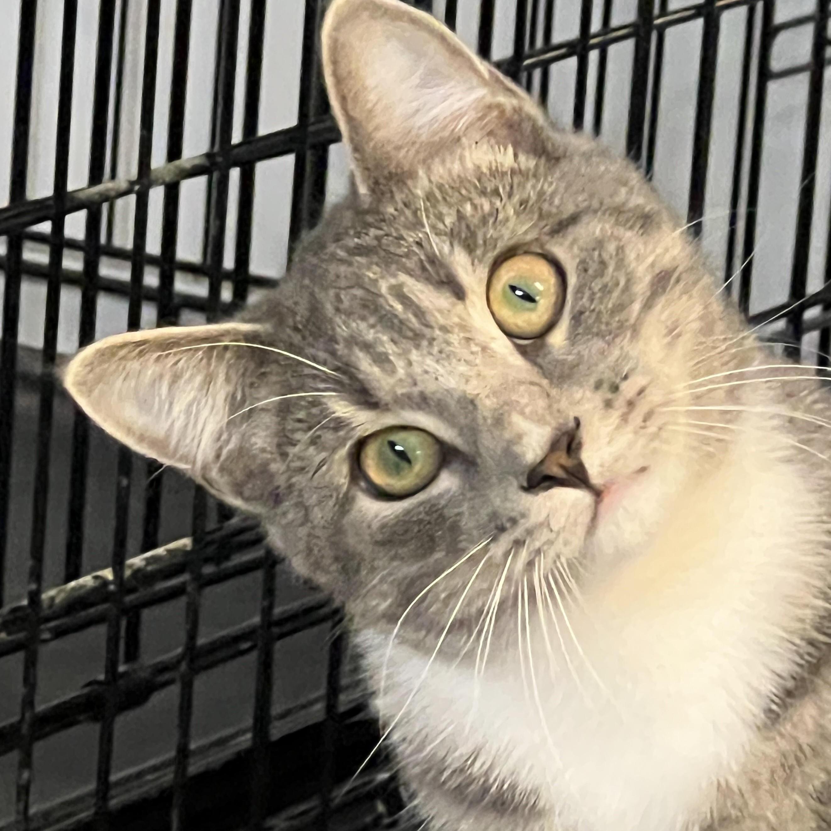 Kernel Cobbs photo 1