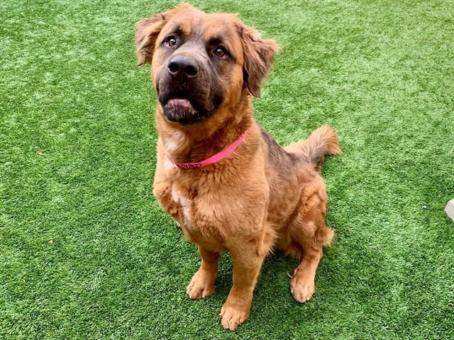 Urgent! Save Me Please!