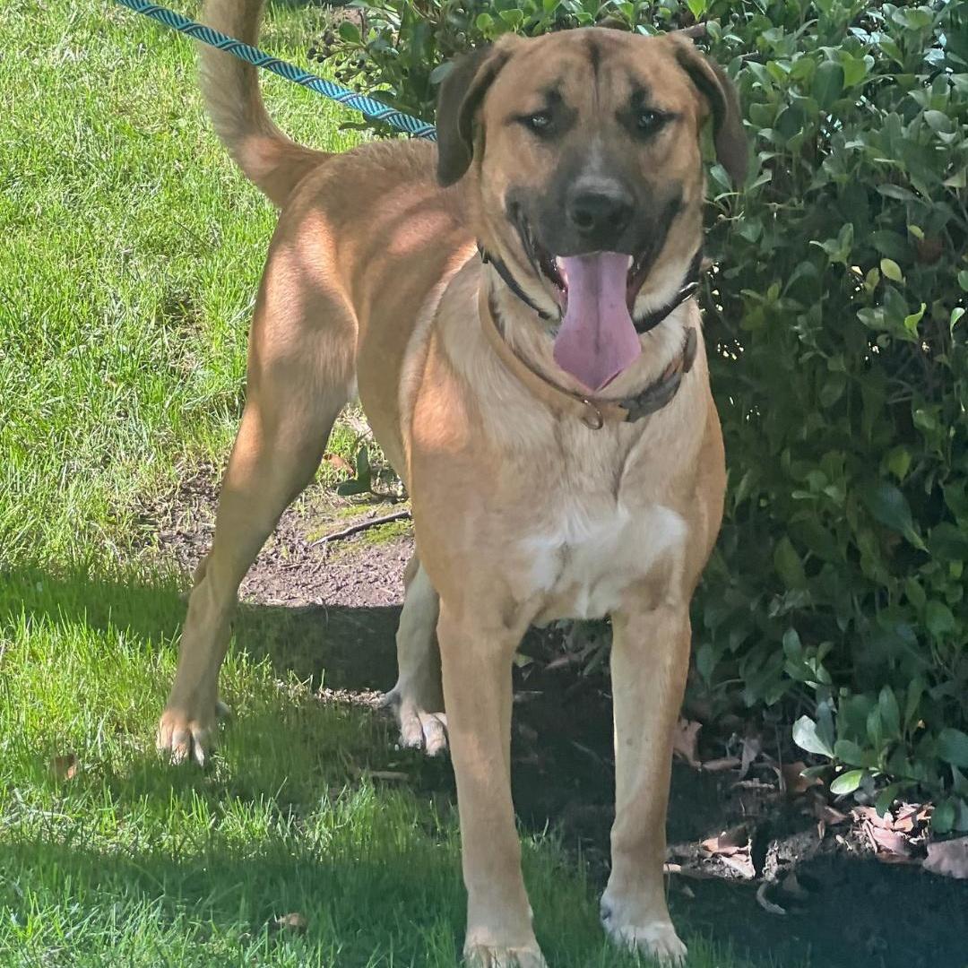 Rex~ Fun Loving Adventure