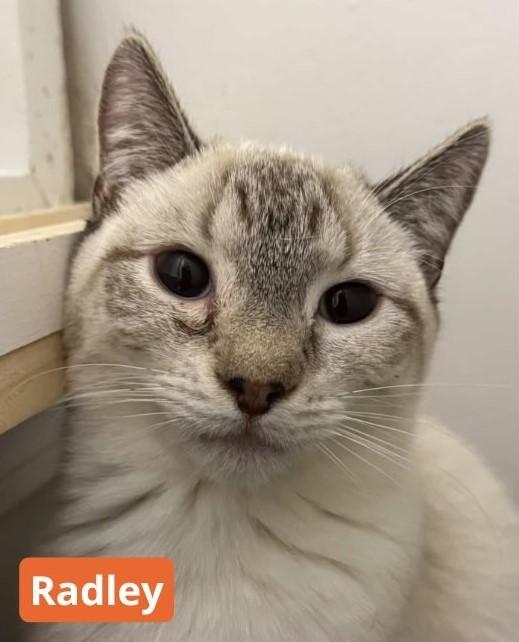 Radley