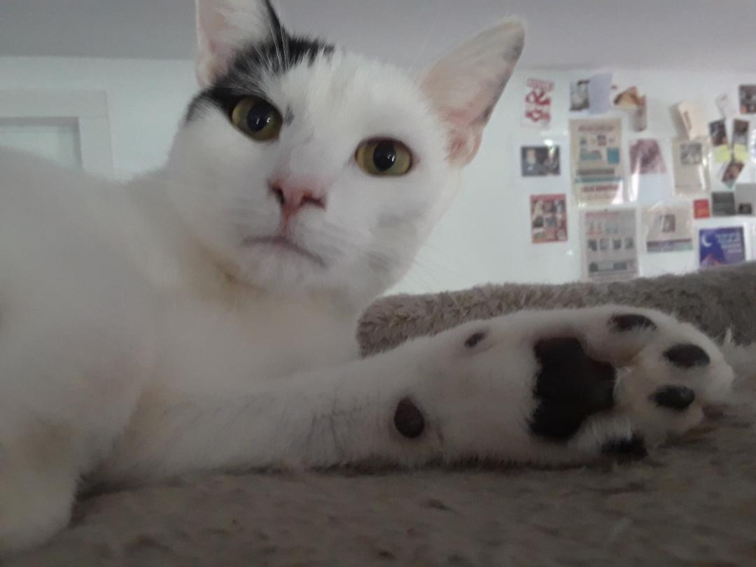 Workin' For The Weekend