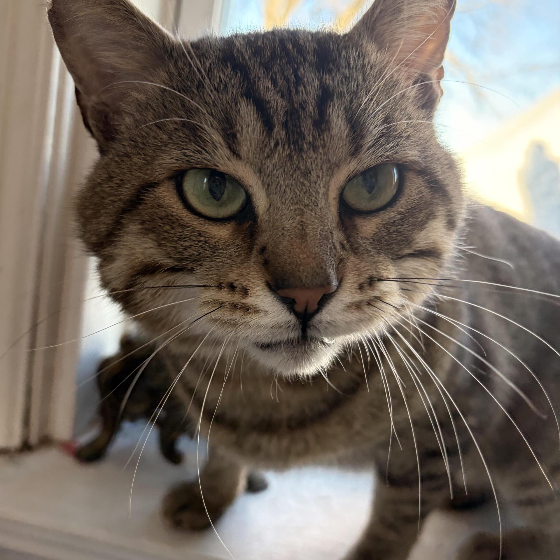 Professor Merlin Burt photo 1