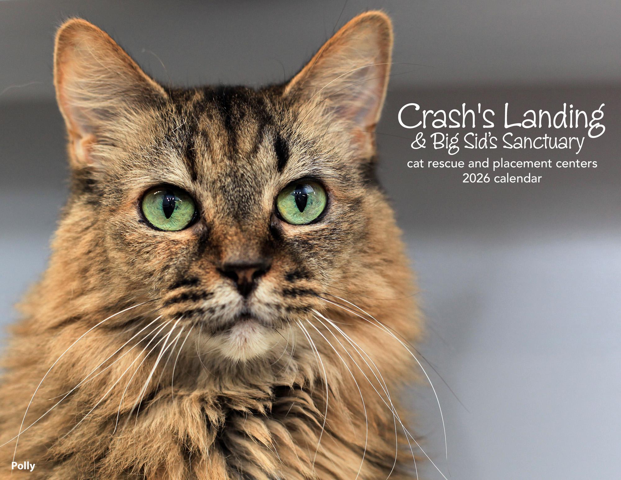 Polly Purrmanent Resident photo 1