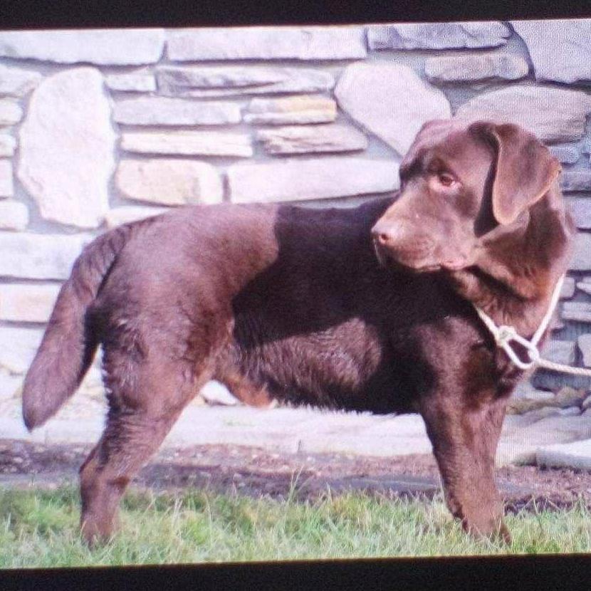 Travisnot Accepting Applications Yet!