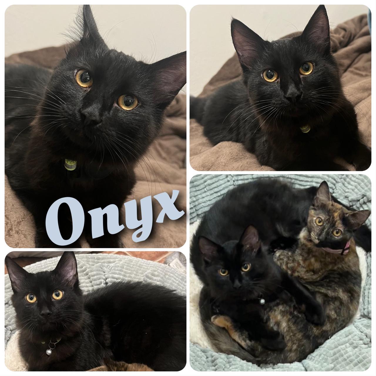 Onyx