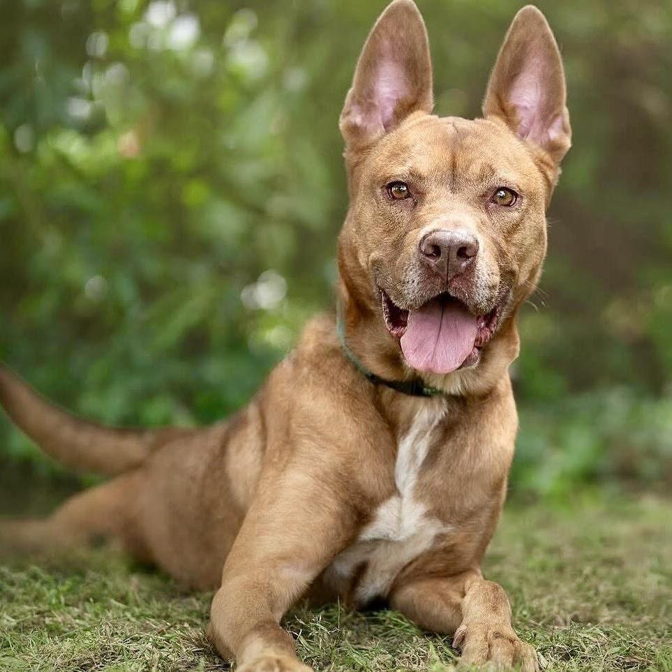 Rosia Such A Beautiful