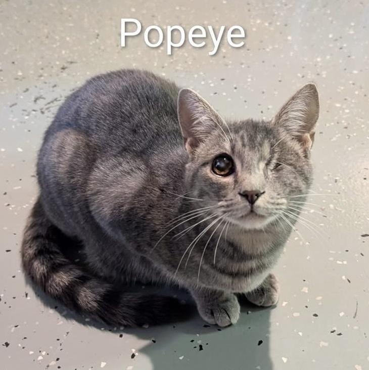 Popeye! Incredibly Sweet