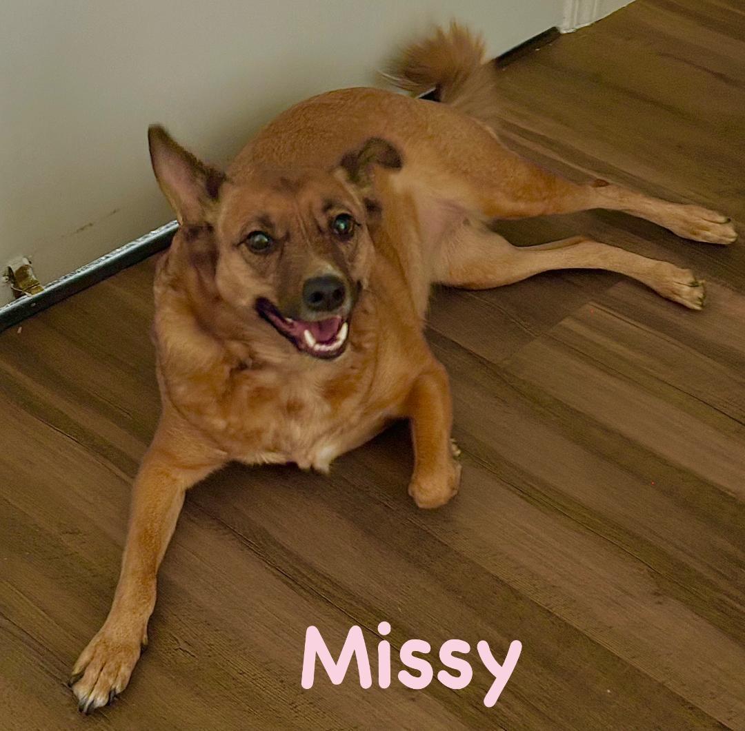Missy