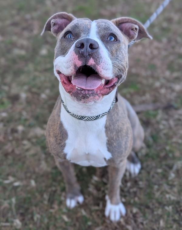 Champagne Problems photo 1