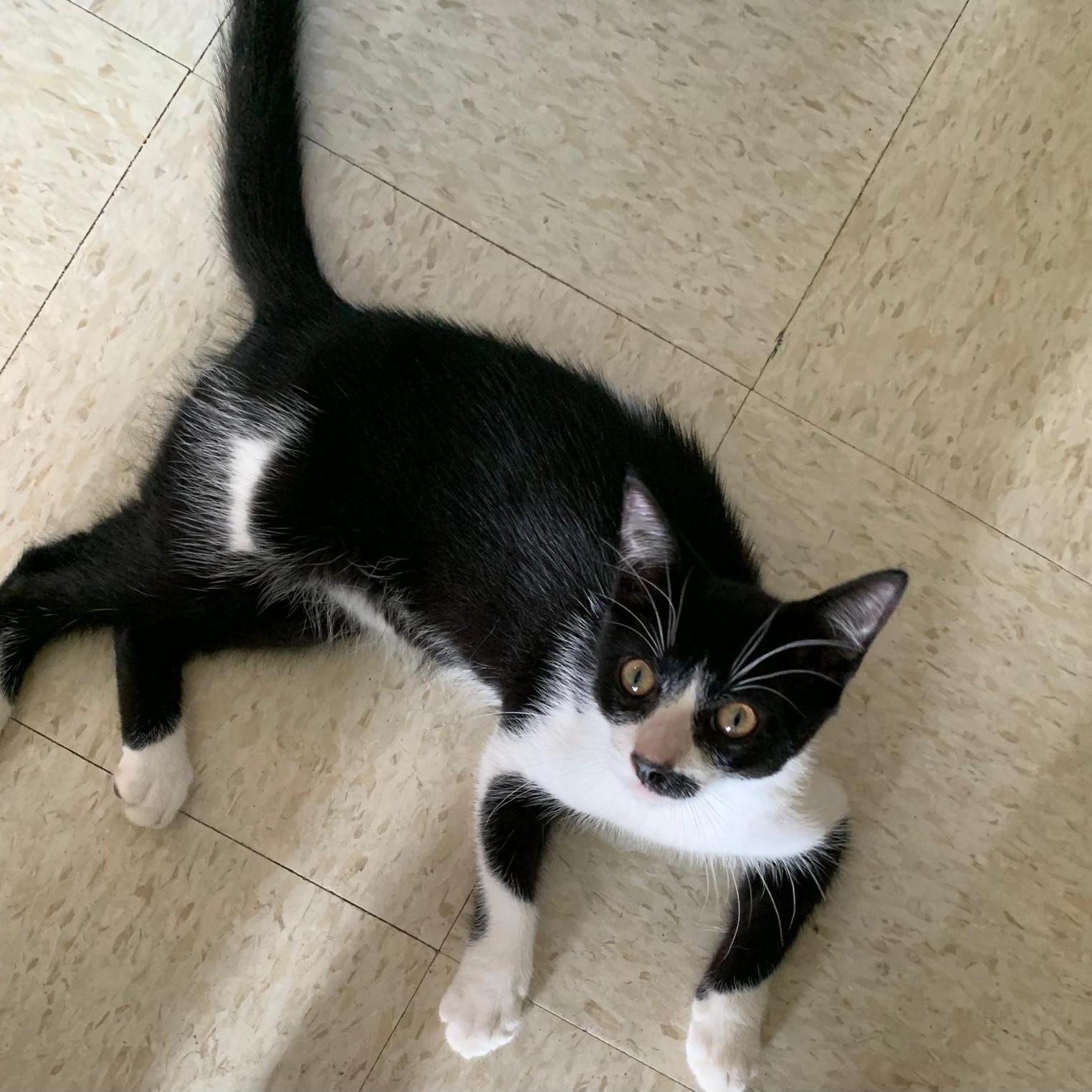 Bamboo "our Love Will