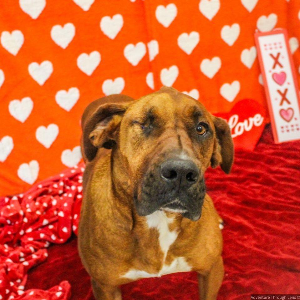 Cornbread Old Red photo 1