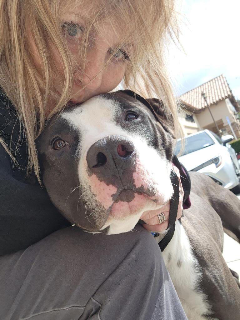 Awesome Young Handsome Cool