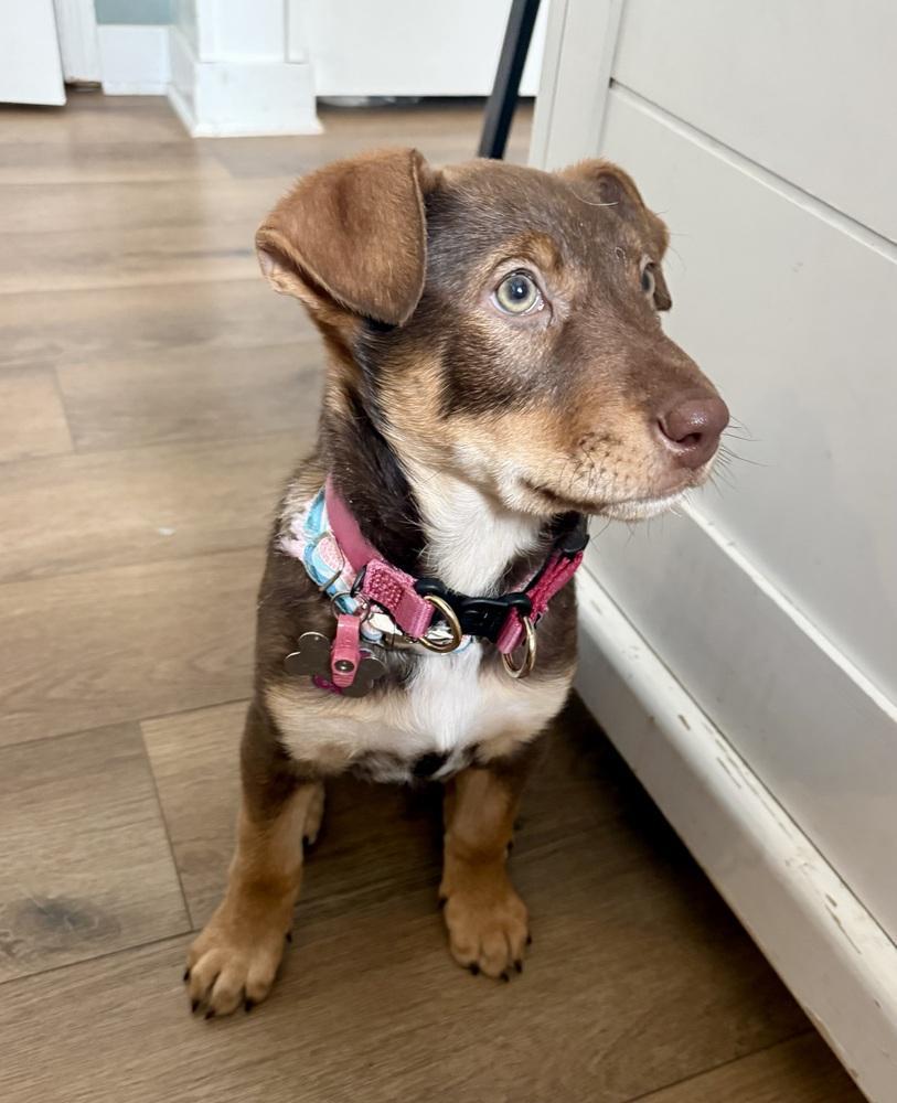 Aussie Litternaomi Watts