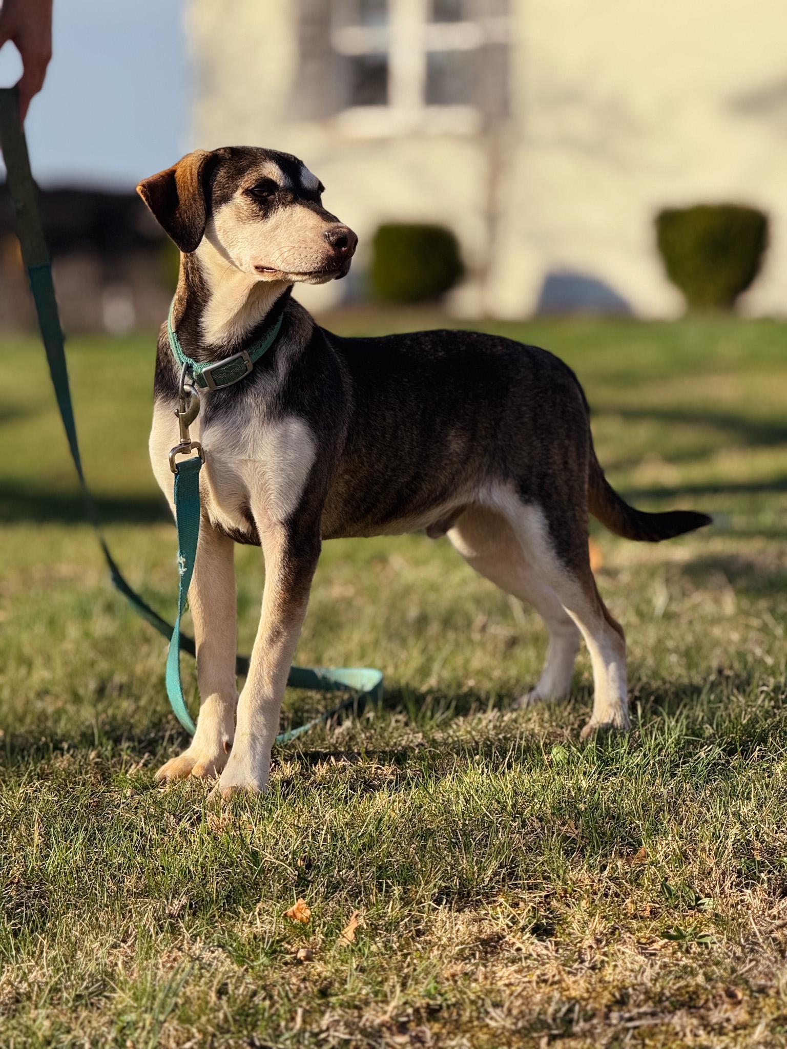 Sawyer Transport photo 1