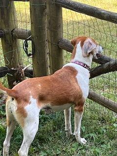 Ollie: “my Home To