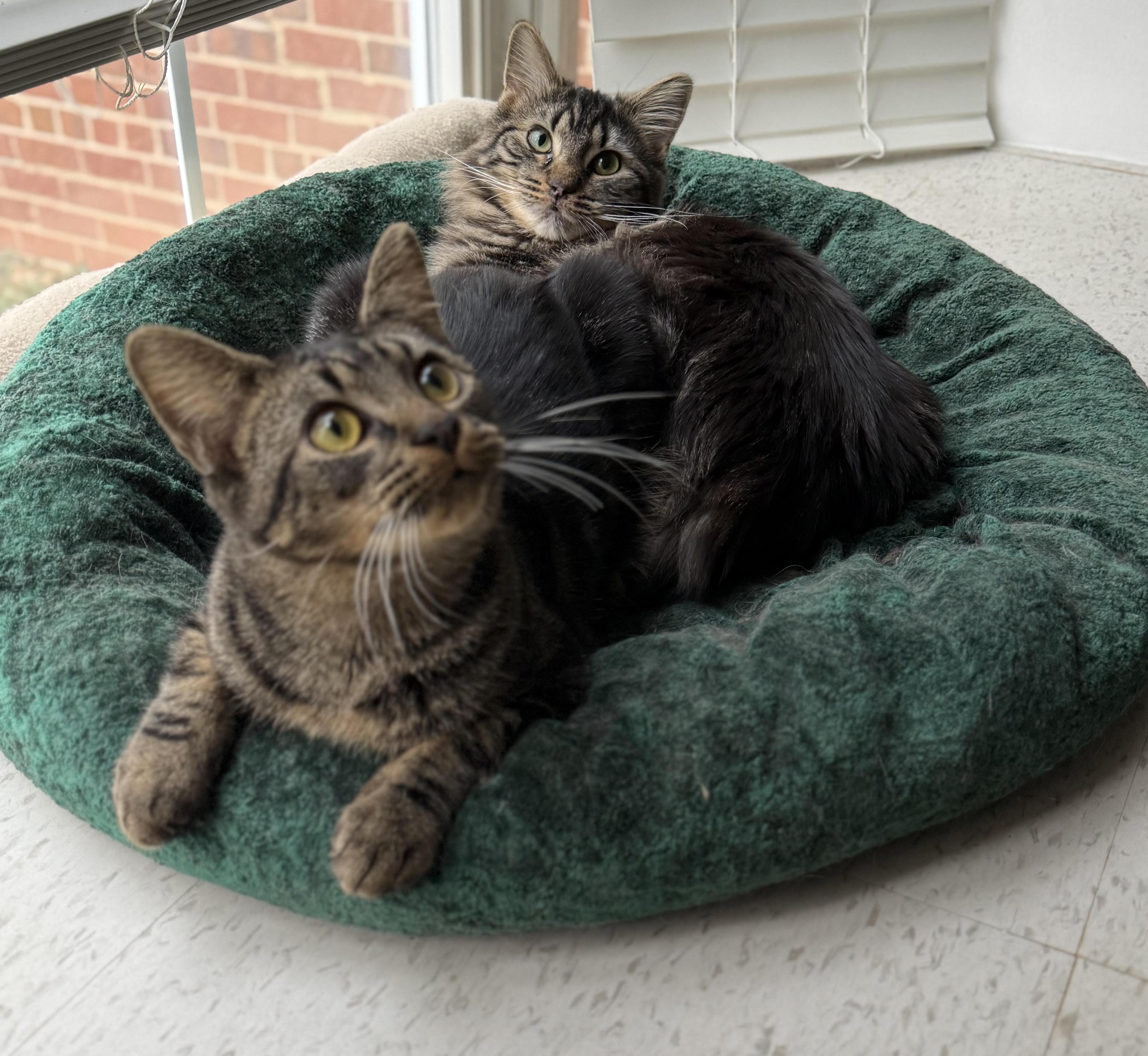 Jake 'n Artemisnew Best