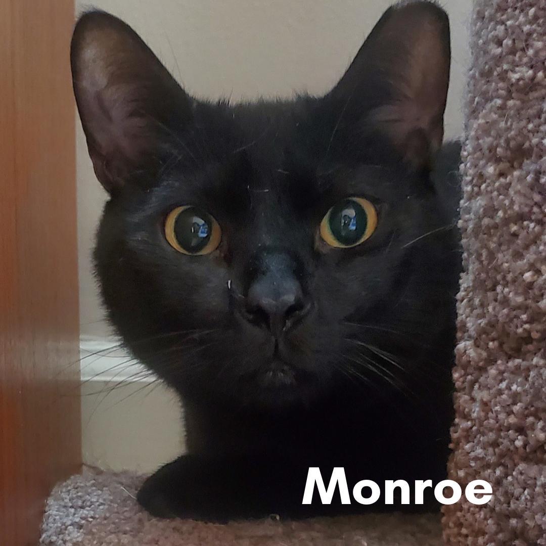 Monroe
