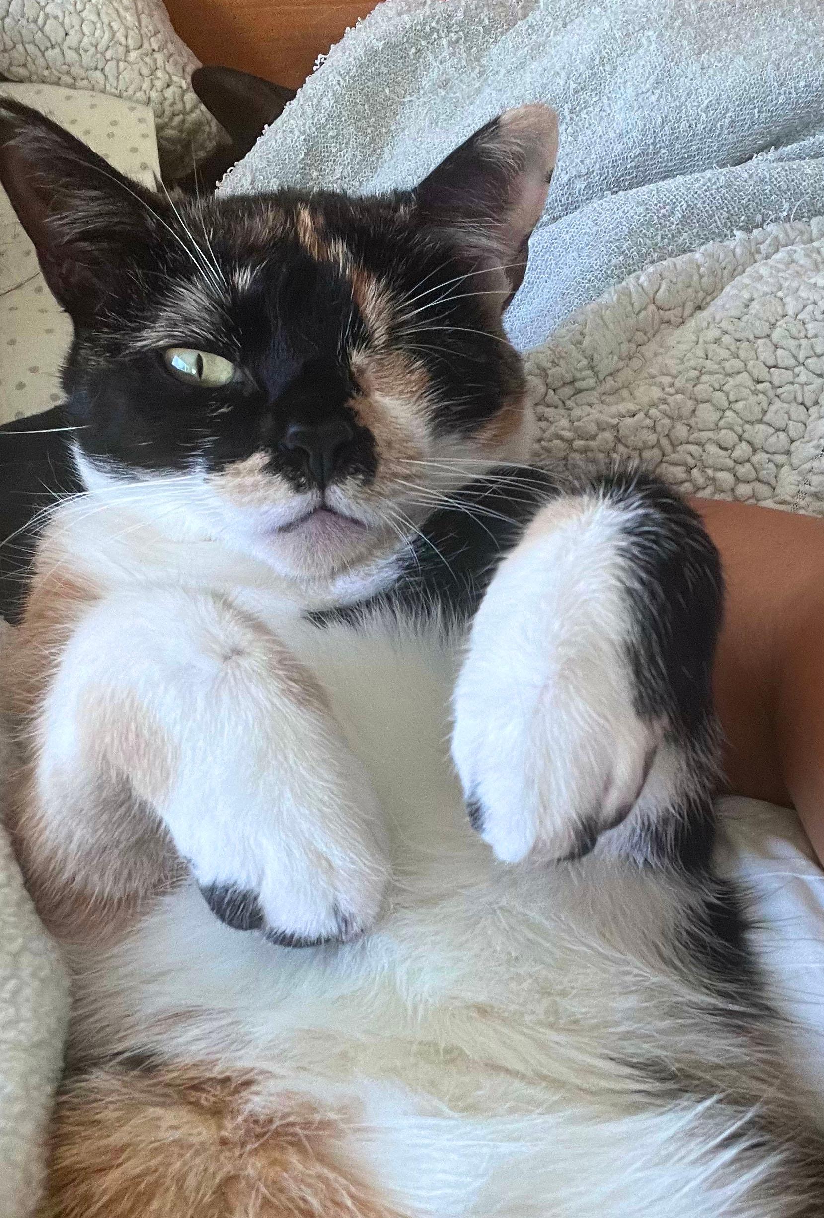 Rainbow Eye So Smart