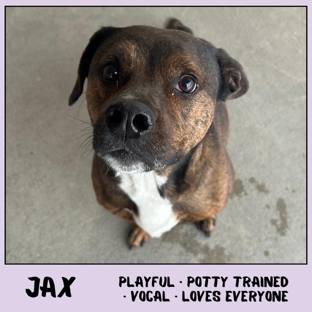 Jax