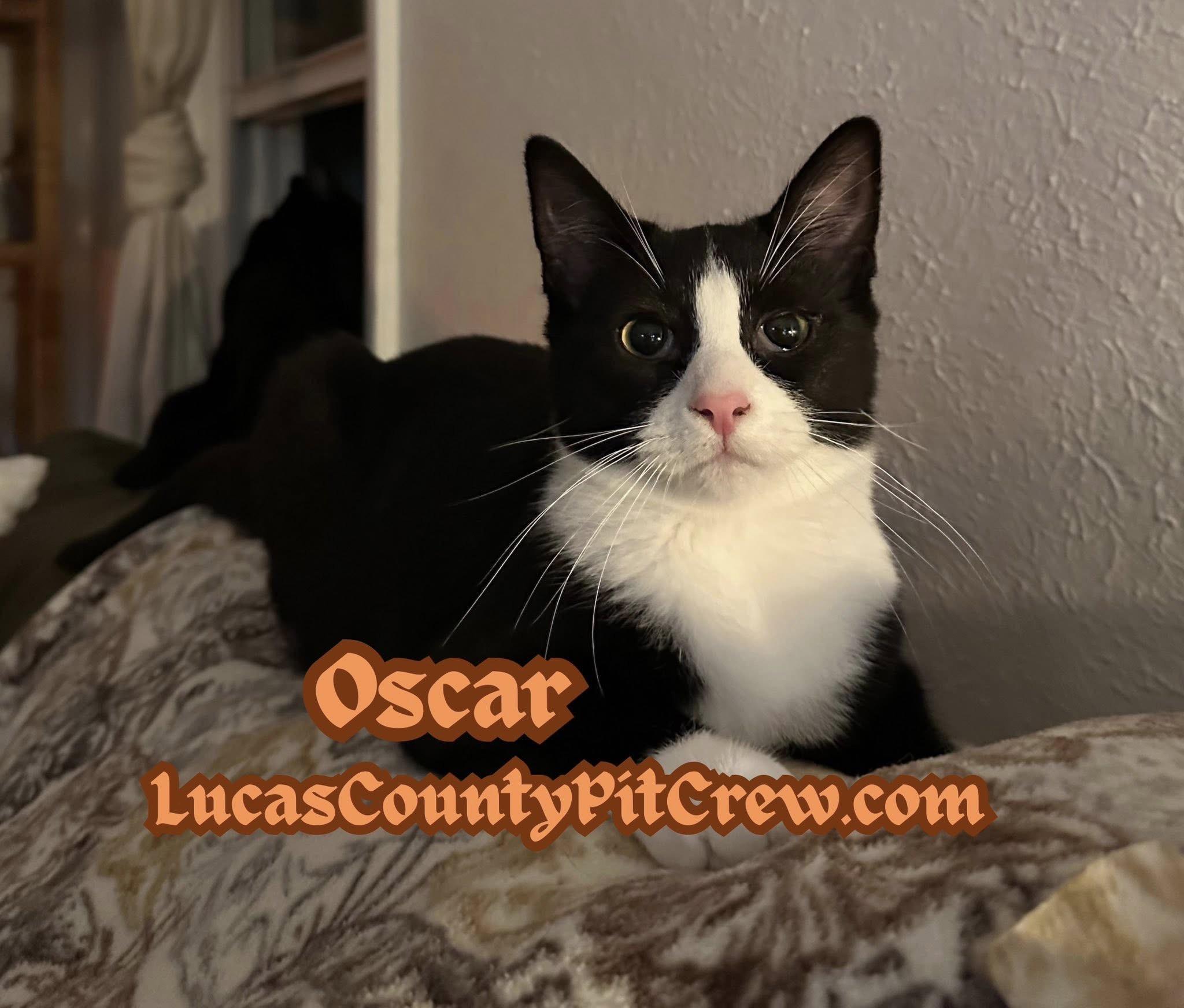 Oscar photo 1