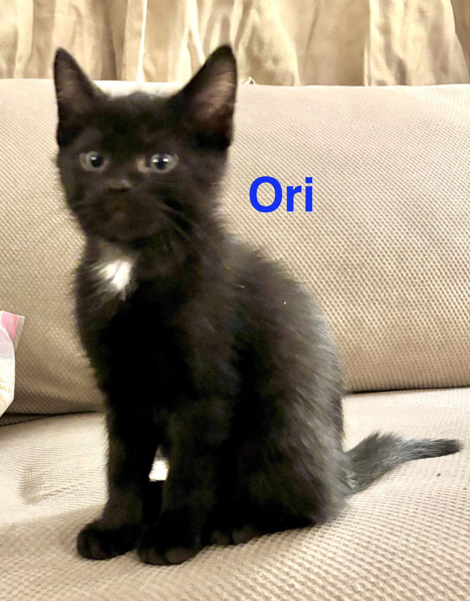 Ori