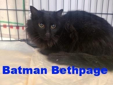Batman Bethpage