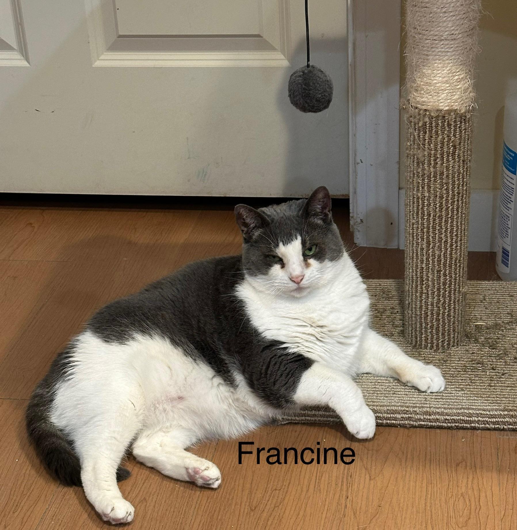 Francine