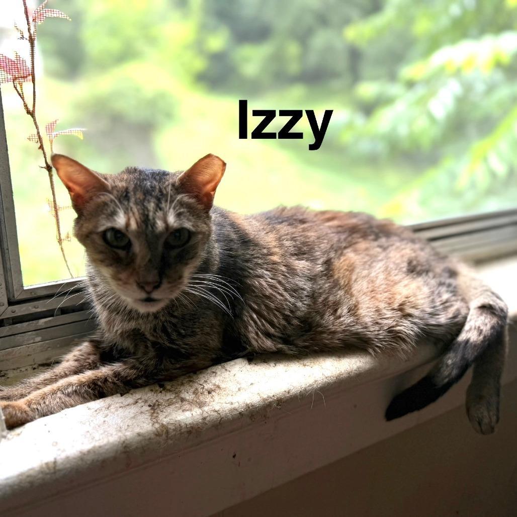 Izzy