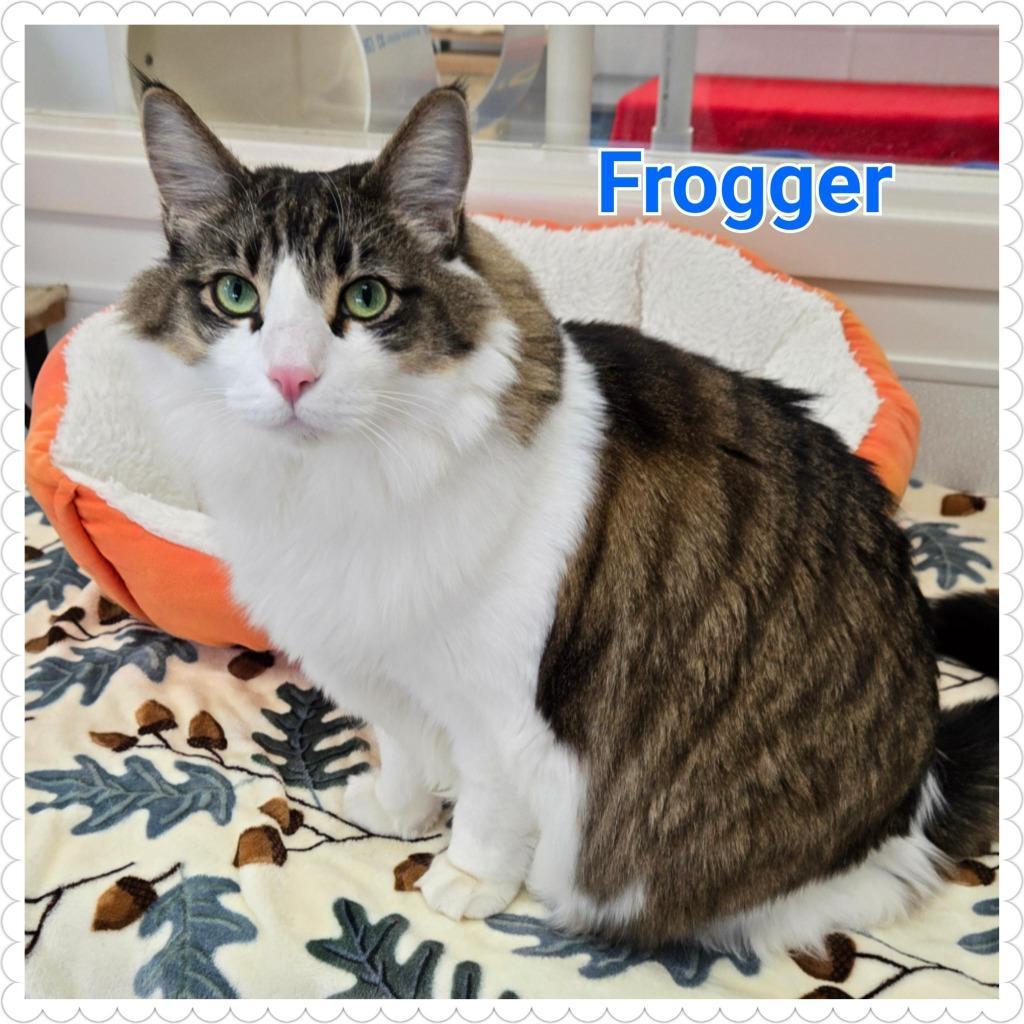 Frogger