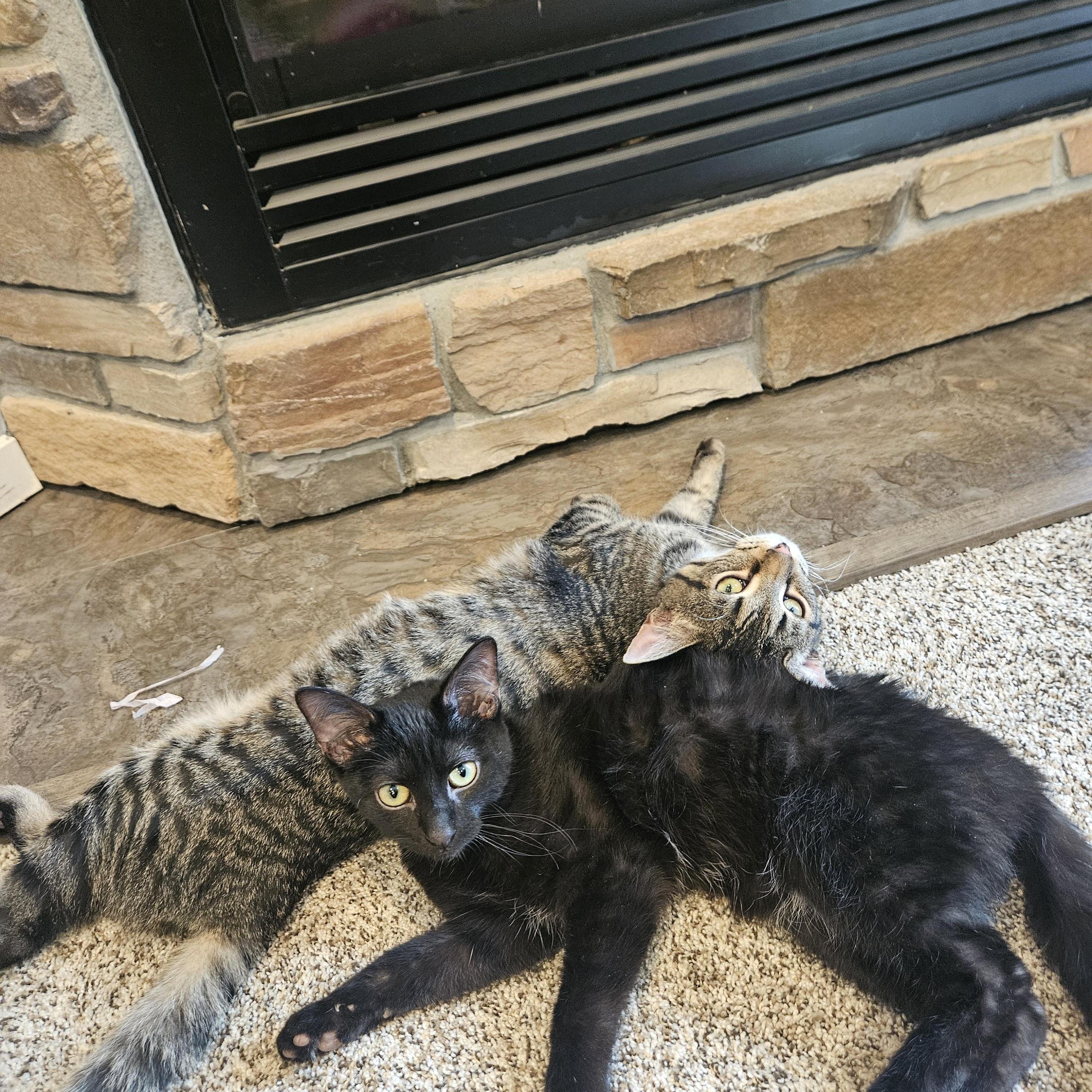 Sebastian And Olivia