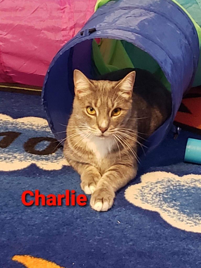 Charlie