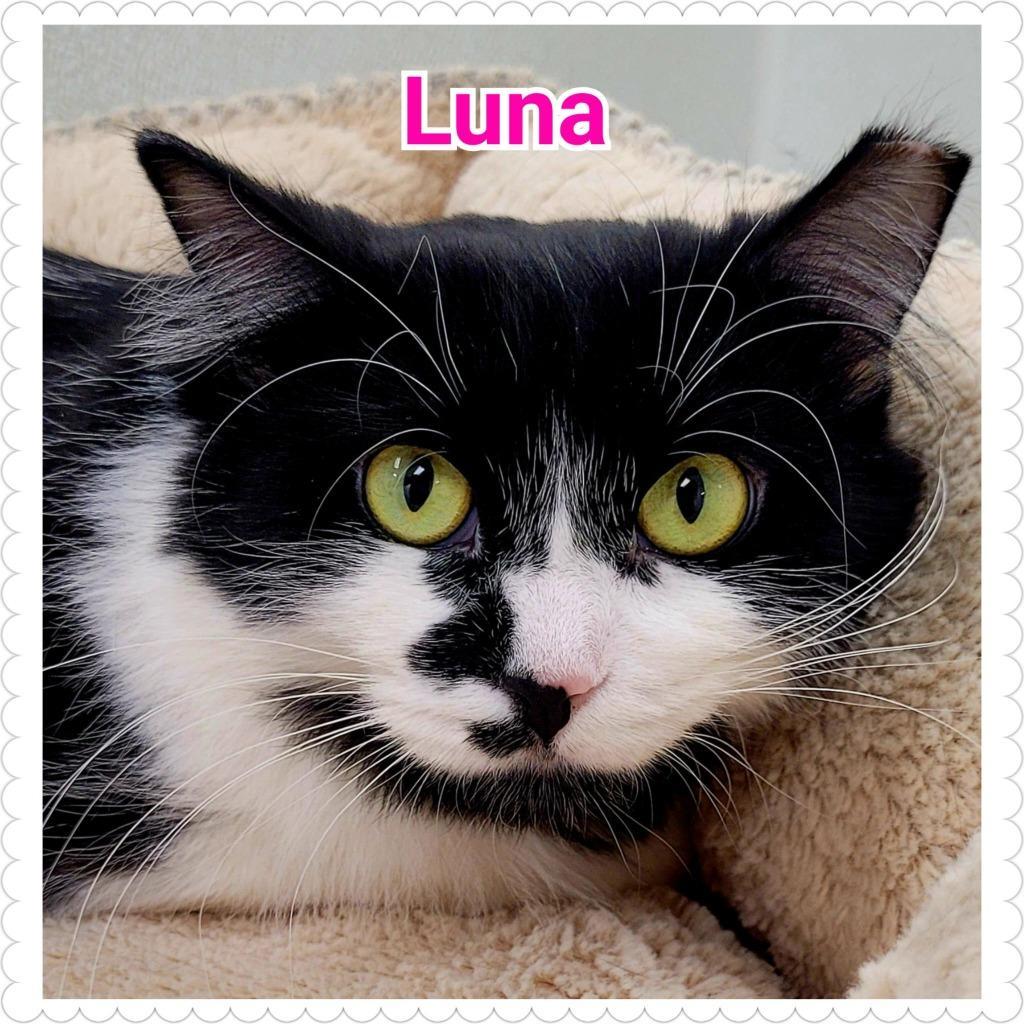 Luna