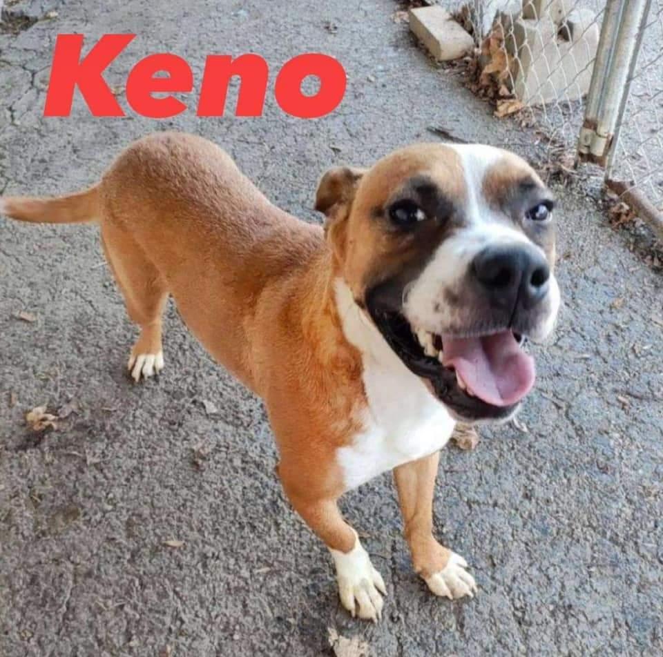 Keno
